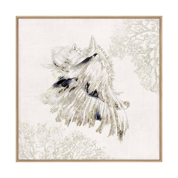 Artey | Silver Shell II - Framed Canvas - Natural Frame - 100 x 100cm
