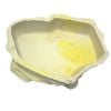 Urs Billabong Reptile Water Bowl Sandstone XL