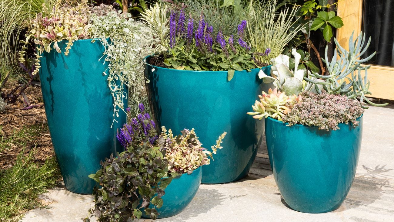 Image of turquoise pots containing variety of plants