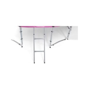 Kahuna 16ft Trampoline Ladder