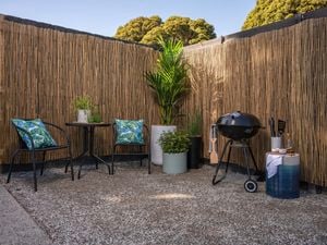 Bamboo screening in an outdoor corner space with an outdoor dining setting, bbq and potted plants.