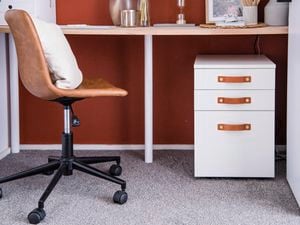 For Hire: Rug Doctor Carpet Cleaner - 48hr