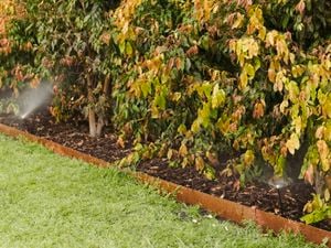 A nice garden with a water sprinkler.