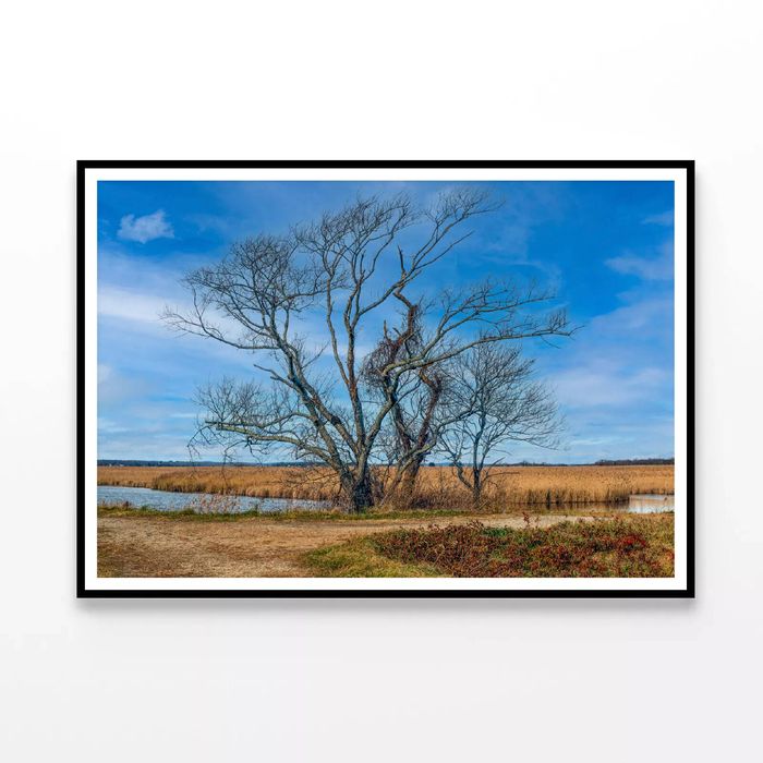 Couple of Trees Grows In Field  Print 100% Australian Made 120x90cm  (Poster)
