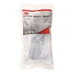 3M Over The Glasses Clear Protective Eyewear