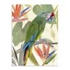 Artey | Tropical Parrot Composition I - Stretched Canvas - Stretched Canvas - 60 x 80cm
