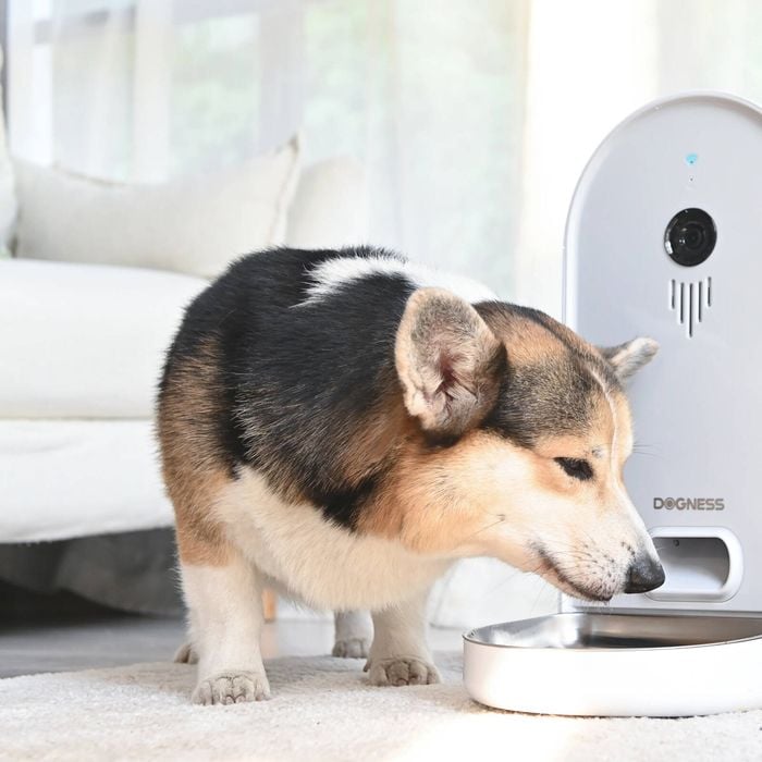 Dogness Auto Large Dog Pet Feeder 6L Bunnings Australia