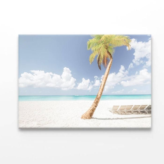Coconut Tree in Beach  Print 100% Australian Made 50 x 40cm  (Acrylic)