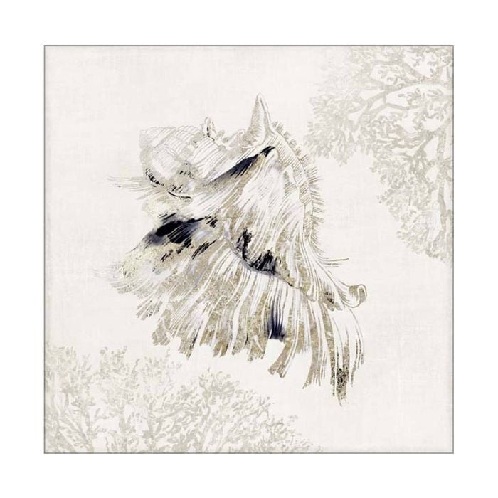 Artey | Silver Shell II - Stretched Canvas - Stretched Canvas - 50 x 50cm