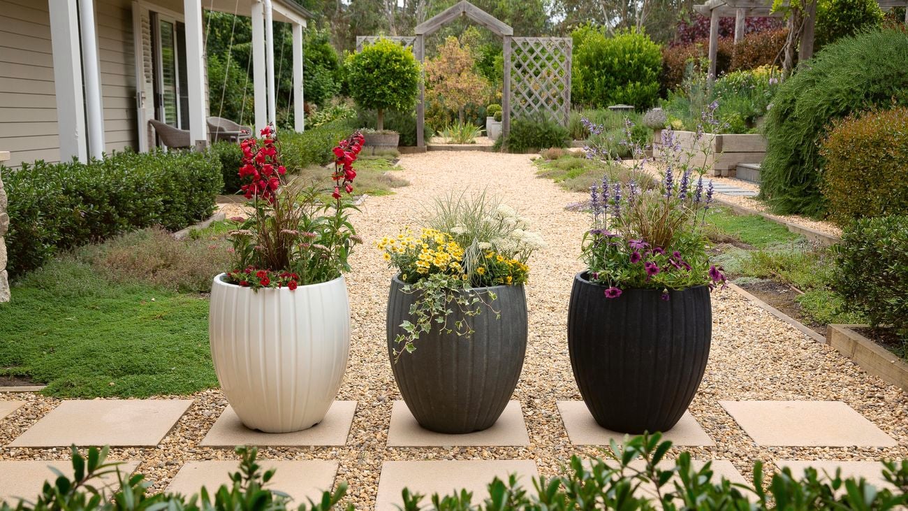 Three planters filled with colourful flowers
