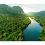 Aerial View Of River in Tropical Green  Print 100% Australian Made 75 x 50cm  (Stretched)