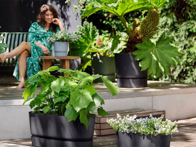 Indoor Outdoor Pot Greenville 0266797, 0266803