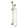 evekare 32 x 900mm Brushed Brass Linear Grab Rail And 3 Function Shower With 2m Hose