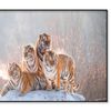 Siberian Tiger and Winter  Print 100% Australian Made 120x90cm  (Poster)