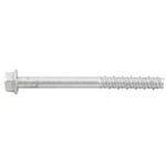 Ramset 8 x 100mm Galvanised AnkaScrew Masonry Anchor - 10 Pack