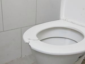 DIY Step Image - How to replace a toilet seat . Blob storage upload.