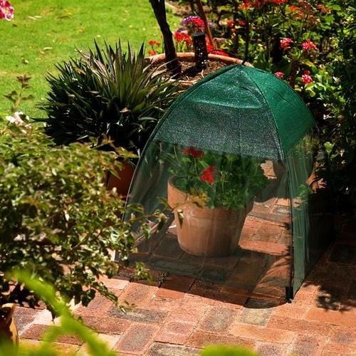 Jack 71cm Thinking Outside Sun And Insect Plant Cover - Bunnings Australia