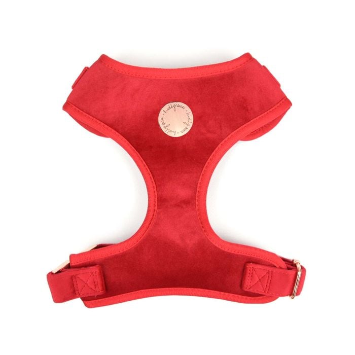 Holly & Co  Lover Red Extra Large Red Stylish Velvet Dog Harness