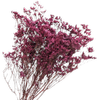 Blooms Of Joy 70cm Hot Pink Limonium Flowers
