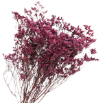 Blooms Of Joy 70cm Hot Pink Limonium Flowers