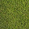 Tuff Turf 3.75 x 1m Luxury Synthetic Turf