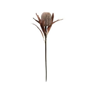 70cm Sand Banksia Artificial Native Flowers