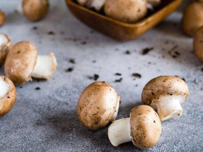 DIY - Header - Growing mushrooms at home