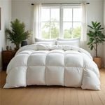 Royal Comfort 50% Duck Down Duvet Queen White