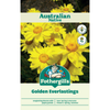 Fothergill's Australian Native Wildflower Golden Everlasting Seeds