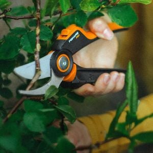 A person using pruners to trim a green plant.