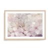 Artey | Apple Blossoms - Framed Print - Natural Frame - 70 x 100cm