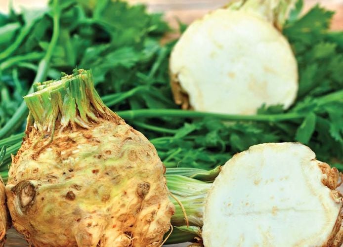 Celeriac giant prague