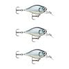 3x Rapala 3.5cm X Light Crank Mid Run Crankbait Fishing Lures - Baby Aspius