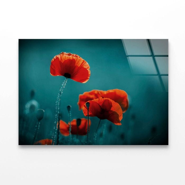 Amazing Poppy Field  Print 100% Australian Made 90 x 60cm  (Acrylic)