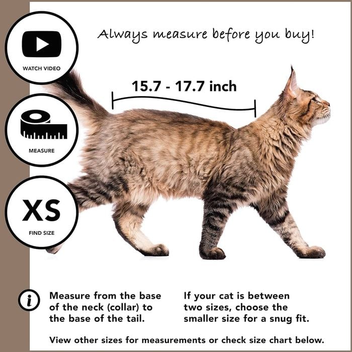 Suitical Recovery Suit® Cat