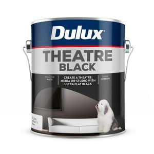 Dulux 2L Black Design Theatre Paint