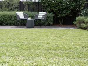 The image shows a freshly laid turf, with outdoor furniture set up on a paved area in the background.