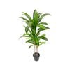 UN-REAL 100cm Artificial Outdoor Dracaena