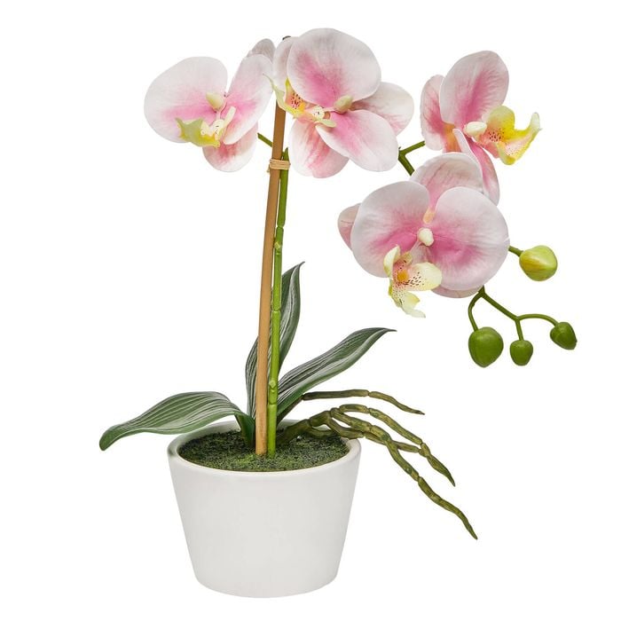 Astin Sinclair 300mm Pink Artificial Orchid in Ceramic Pot