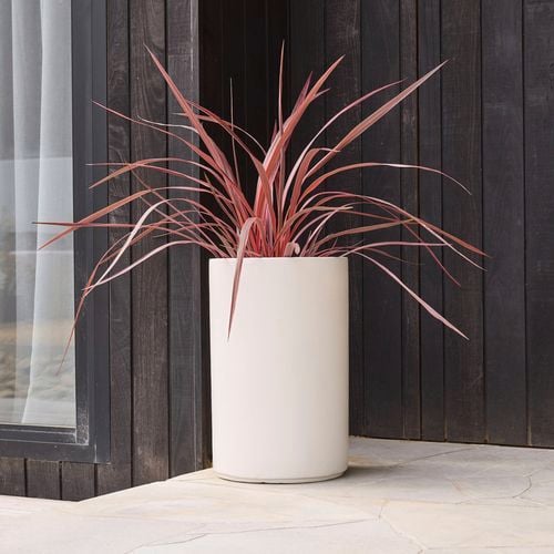 Making a
  style statement is simple with a contemporary Harper Cylinder in White paired
  with colourful plant. I/N: 0252506