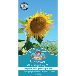 Mr Fothergill's Seed Sunflower King Kong F1 Seed