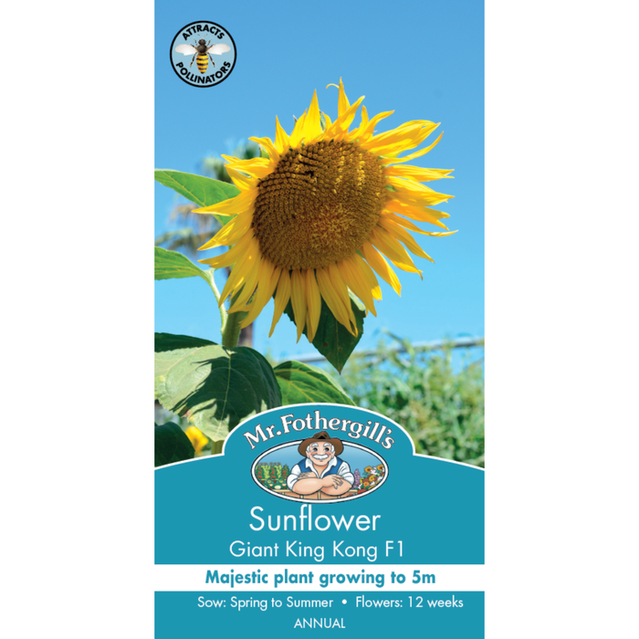 Mr Fothergill's Seed Sunflower King Kong F1 Seed