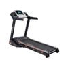 PowerTrain MX2 Foldable Treadmill