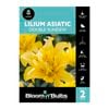 Bloomin Bulbs Lilium Double Sundew - 2 Pack