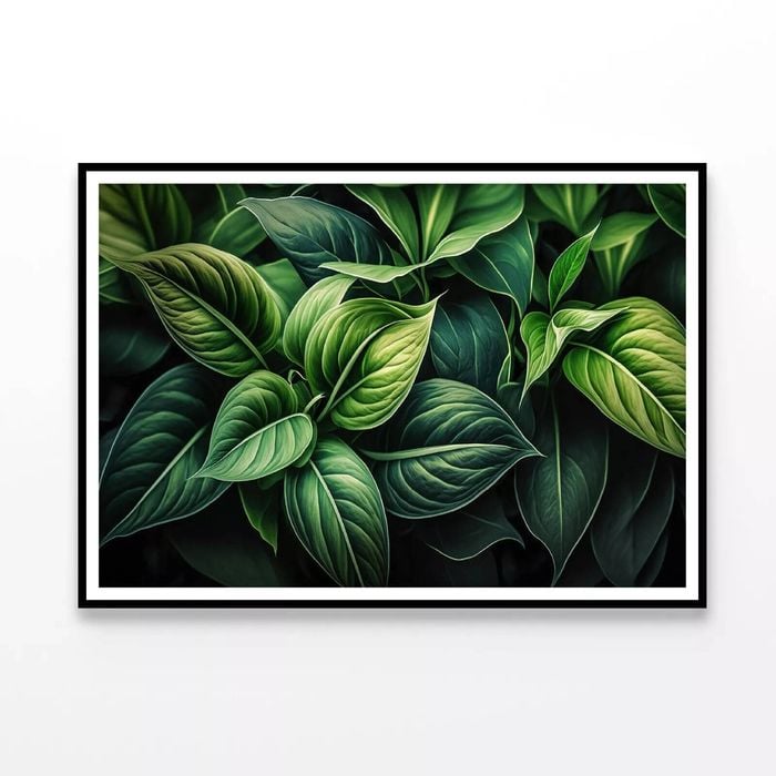 Green Leaves Close up  Print 100% Australian Made 90x60cm  (Poster)