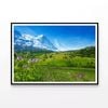 Flowers with Sky & Mountains  Print 100% Australian Made 90x60cm  (Poster)