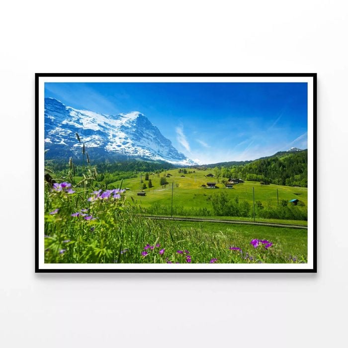 Flowers with Sky & Mountains  Print 100% Australian Made 90x60cm  (Poster)