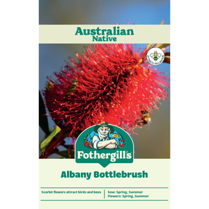 Fothergill's Australian Native Wildflower Albany Bottlebrush Seeds