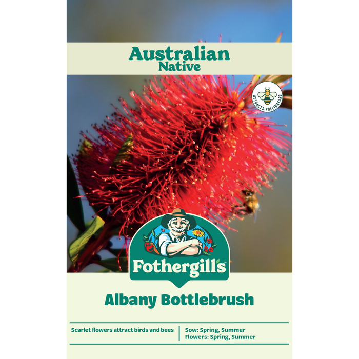 Fothergill's Australian Native Wildflower Albany Bottlebrush Seeds