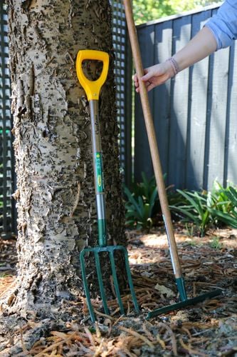 A rake and a pitchfork up against a tree